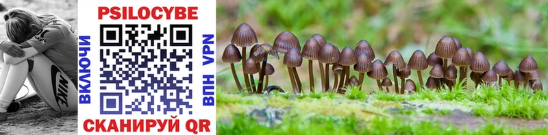 Галлюциногенные грибы Psilocybine cubensis  Мглин 